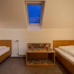 Haus Andrea Winterberg