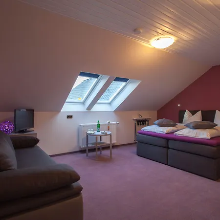 Haus Andrea فندق 3*